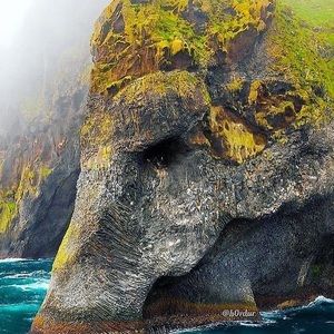 Meet your Posher, Jake